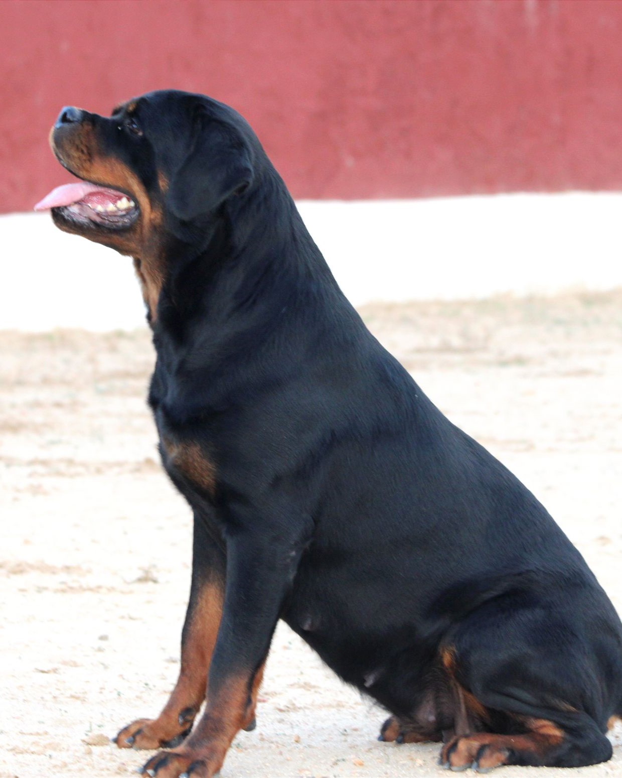 098d0342-0dd6-47b0-84cb-e4eb445b904f