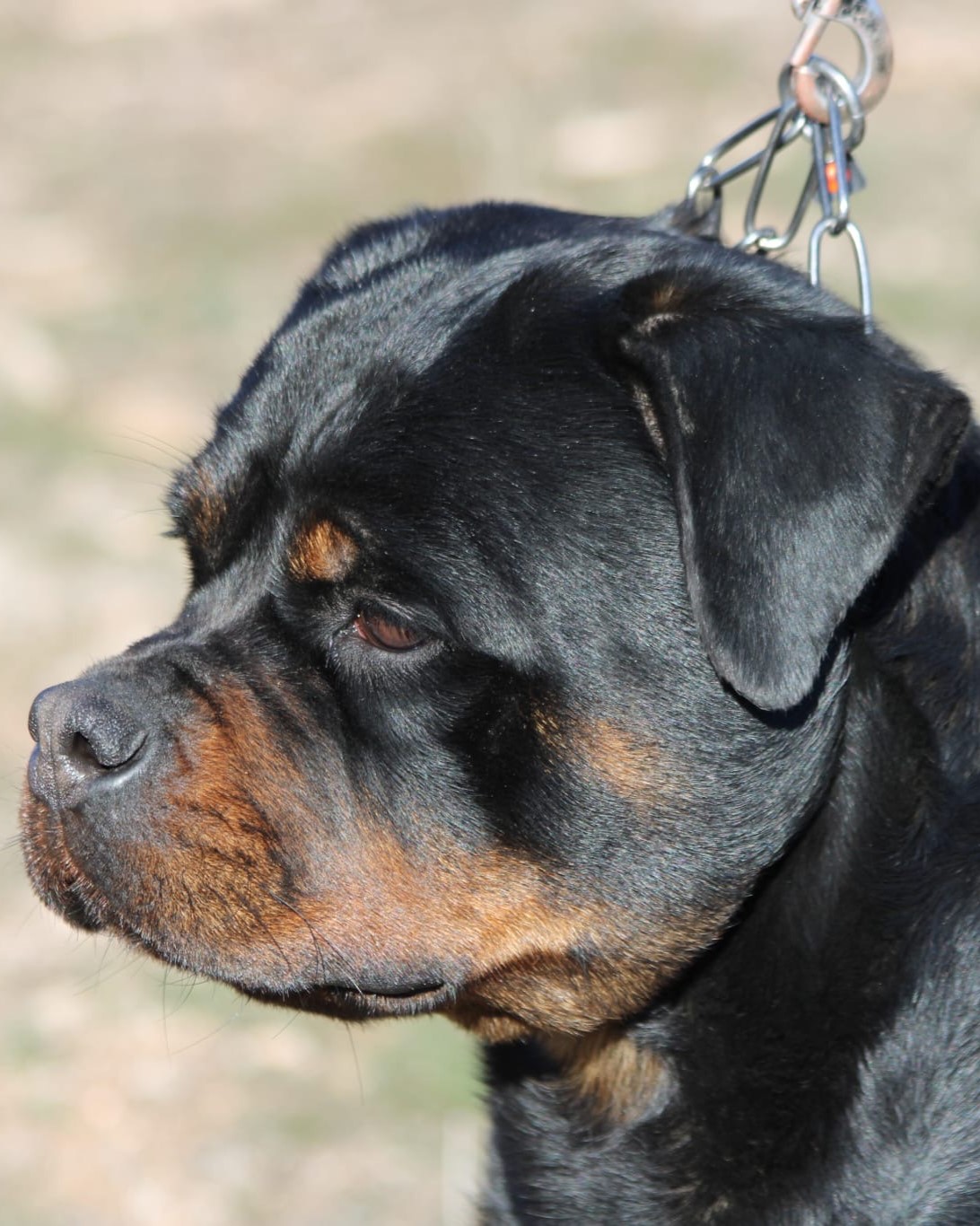 10e2415f-9d8d-4e19-86a8-1f8e6a336065