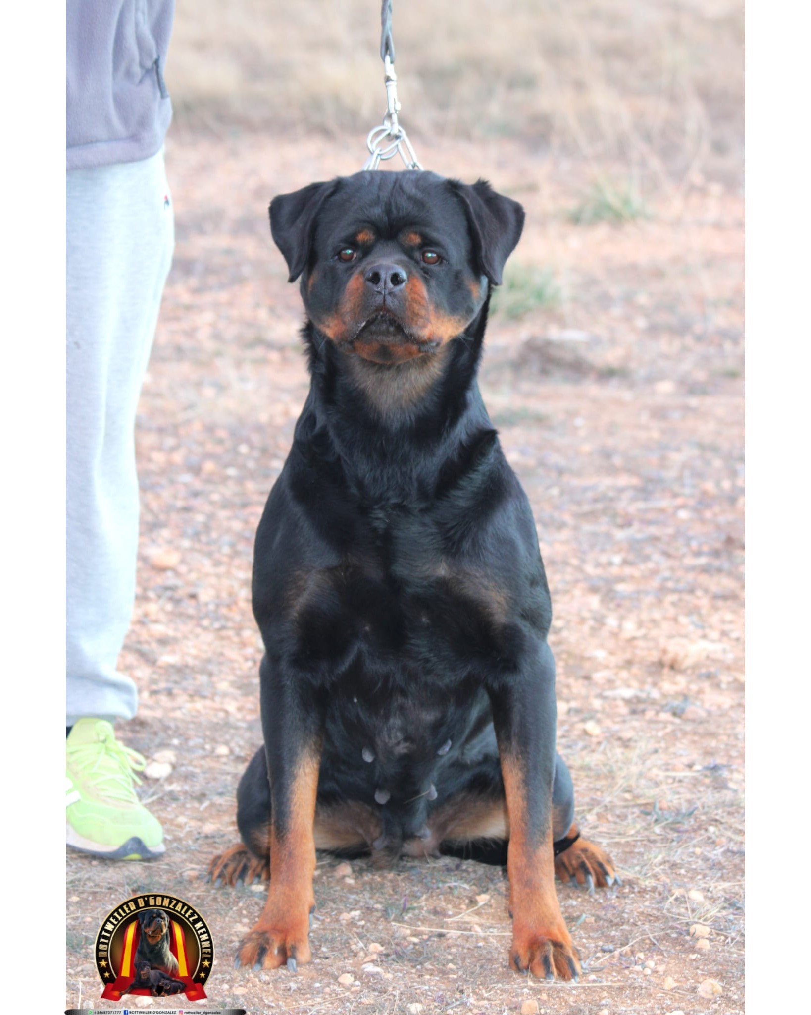 145433f1-cf40-479b-b578-26b80556ce28