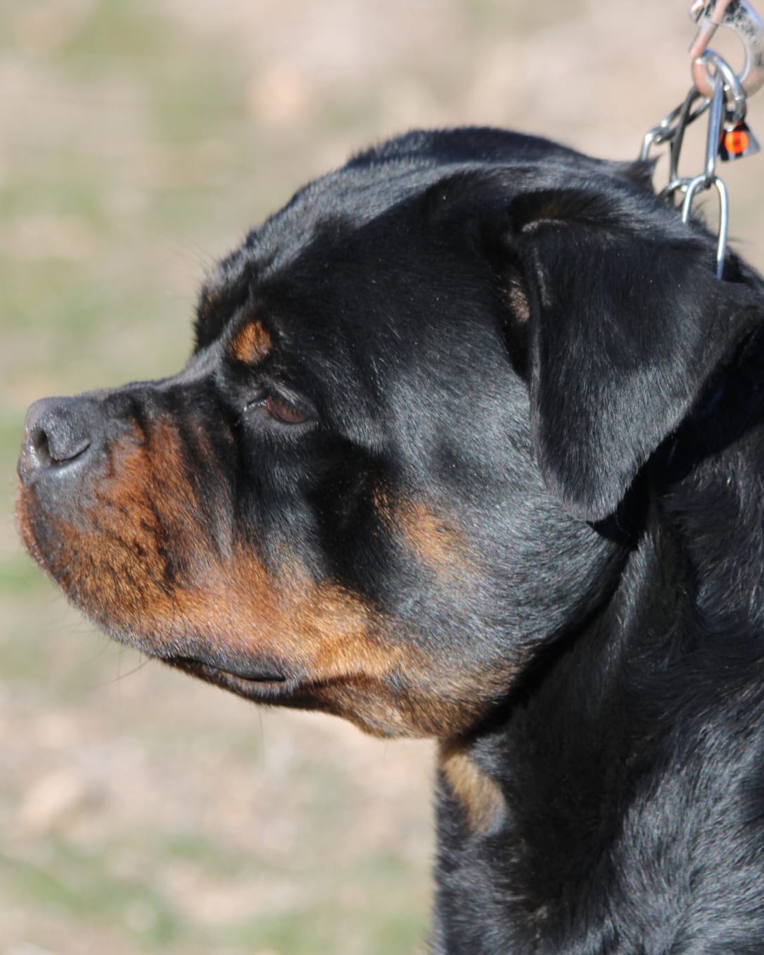 191c45a2-22f3-4193-9a1a-dbda769fab79