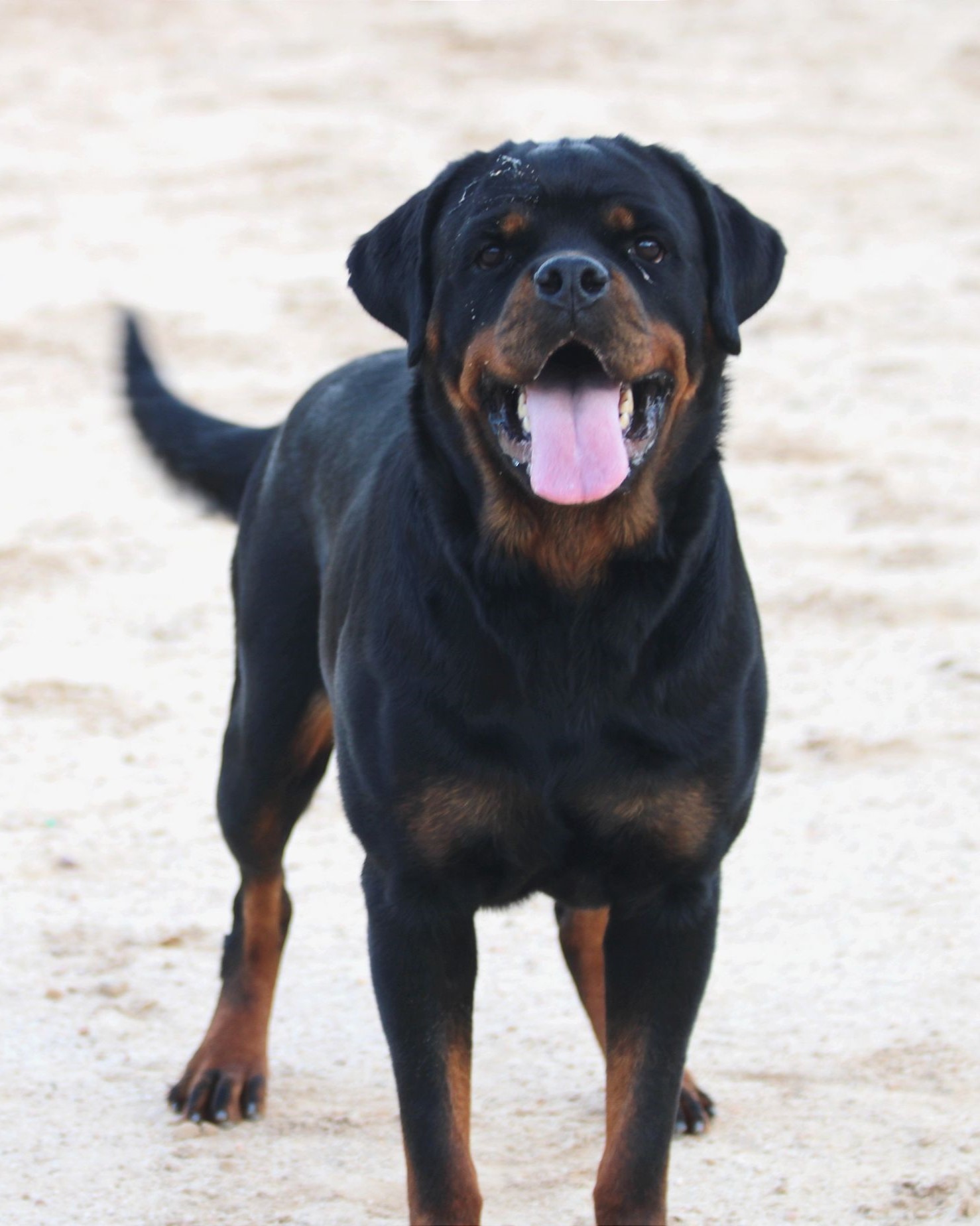 26c35e19-00ba-4509-a368-e4a59be7c0eb