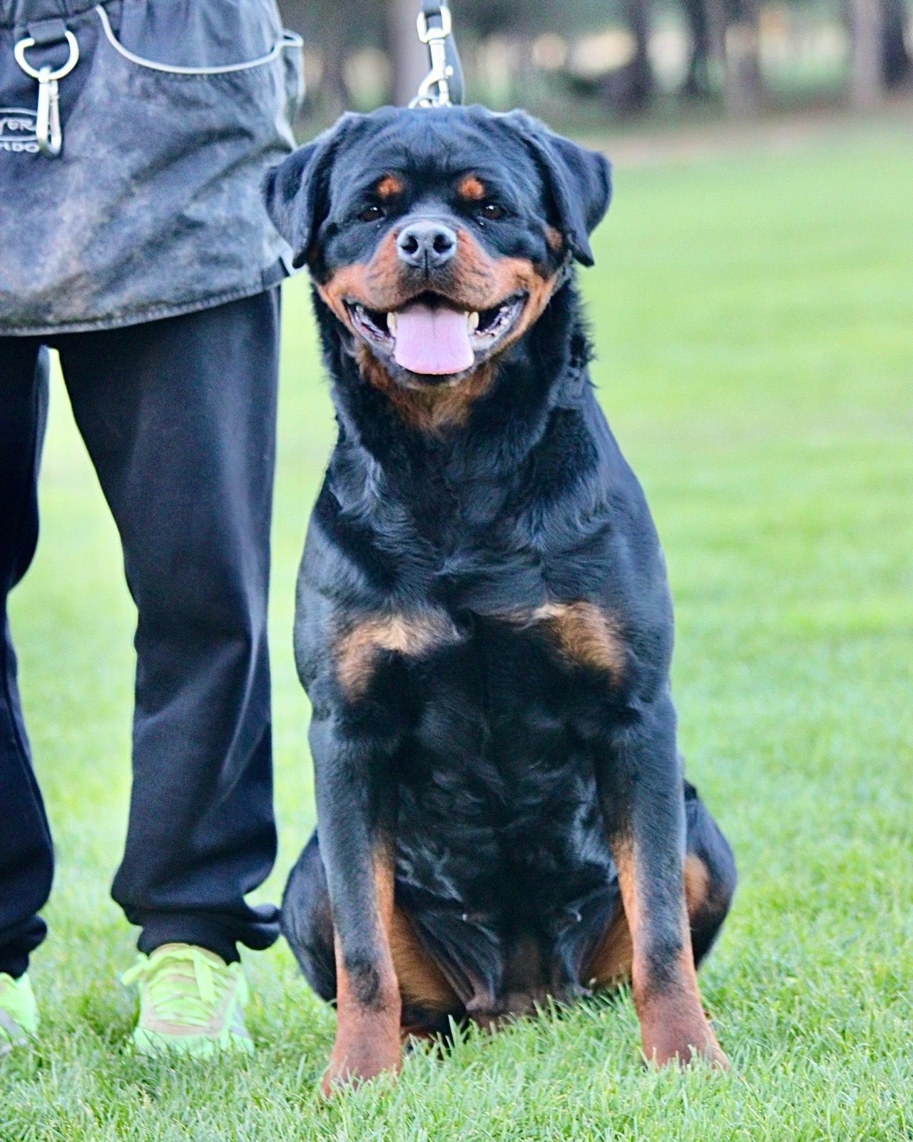 62416b69-3f97-4b9a-a78f-a346a35c3986