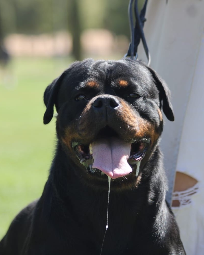 73b9bbe9-1c47-4d49-a3b9-82fb20982629