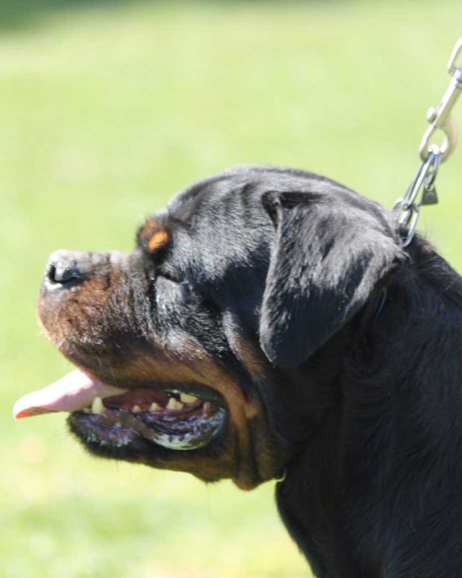 8aee7292-f410-4e41-885e-77c2c846ab8e