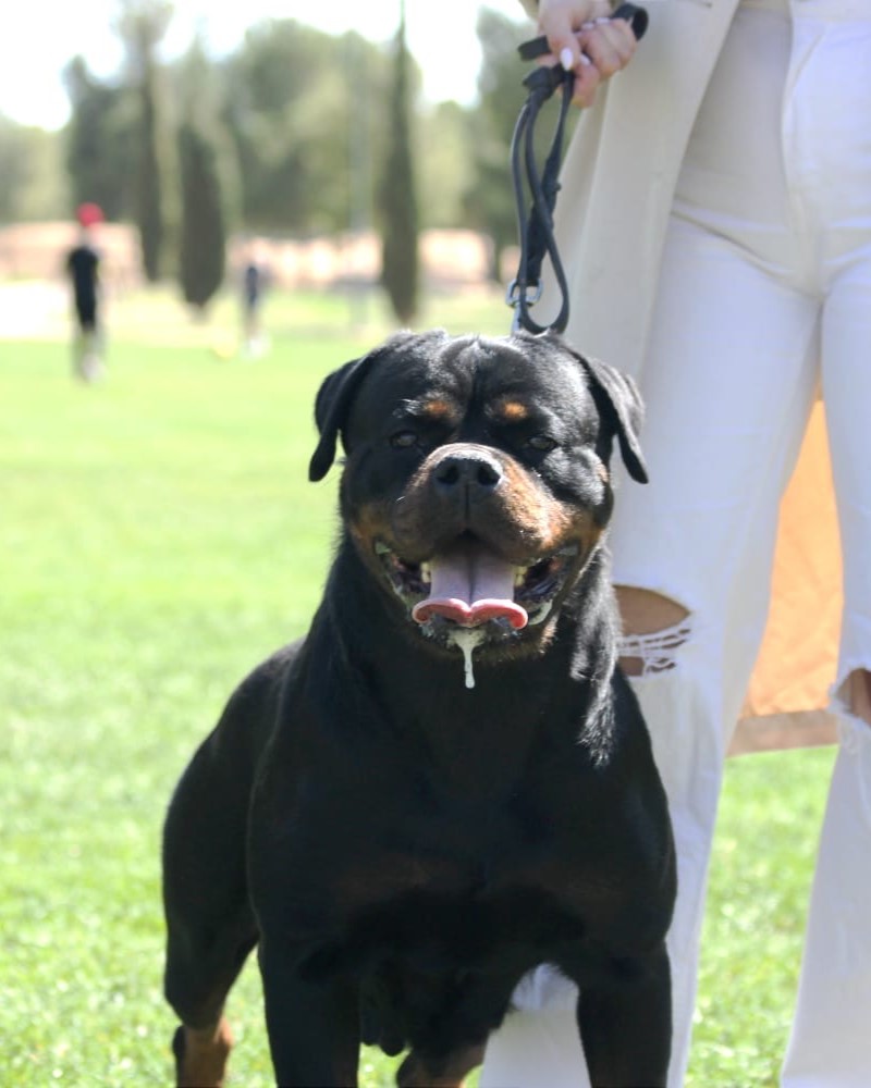 8dabfa1f-aca8-480d-8fe5-c0540e0530b5