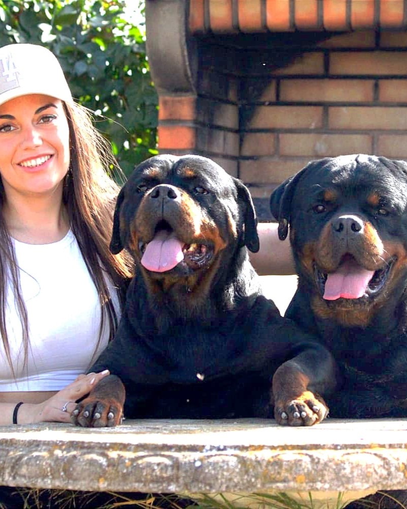 8f94a242-5c0c-4235-817d-089dc3d39f9f