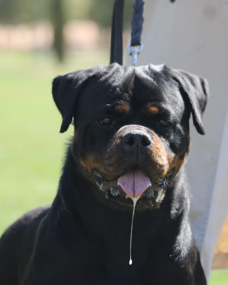 9181c7c2-12b6-4ddd-b4bd-bec556eb356f