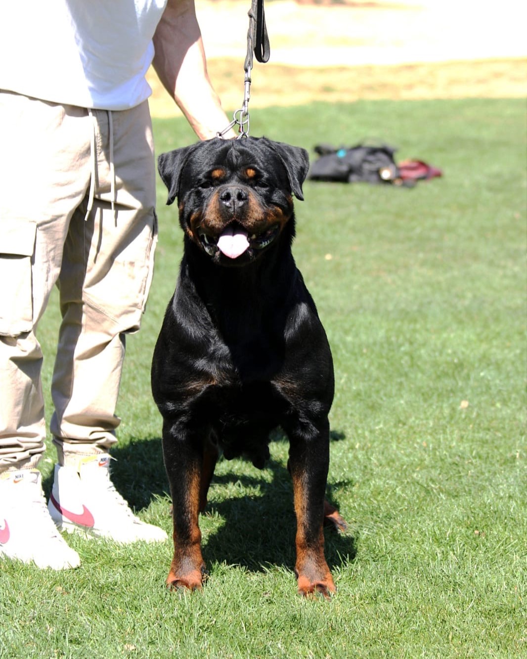 939646a7-f55b-45e4-9262-bb0e54ae7c83