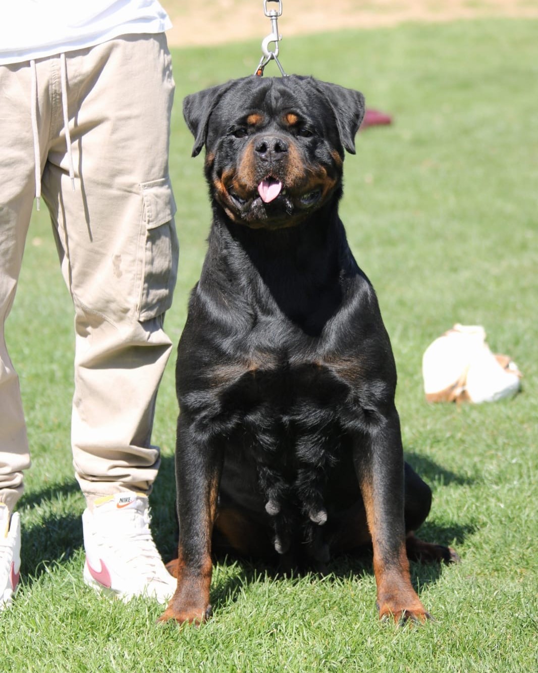 9acdd75a-023b-47d8-b477-87e45caf4bf8