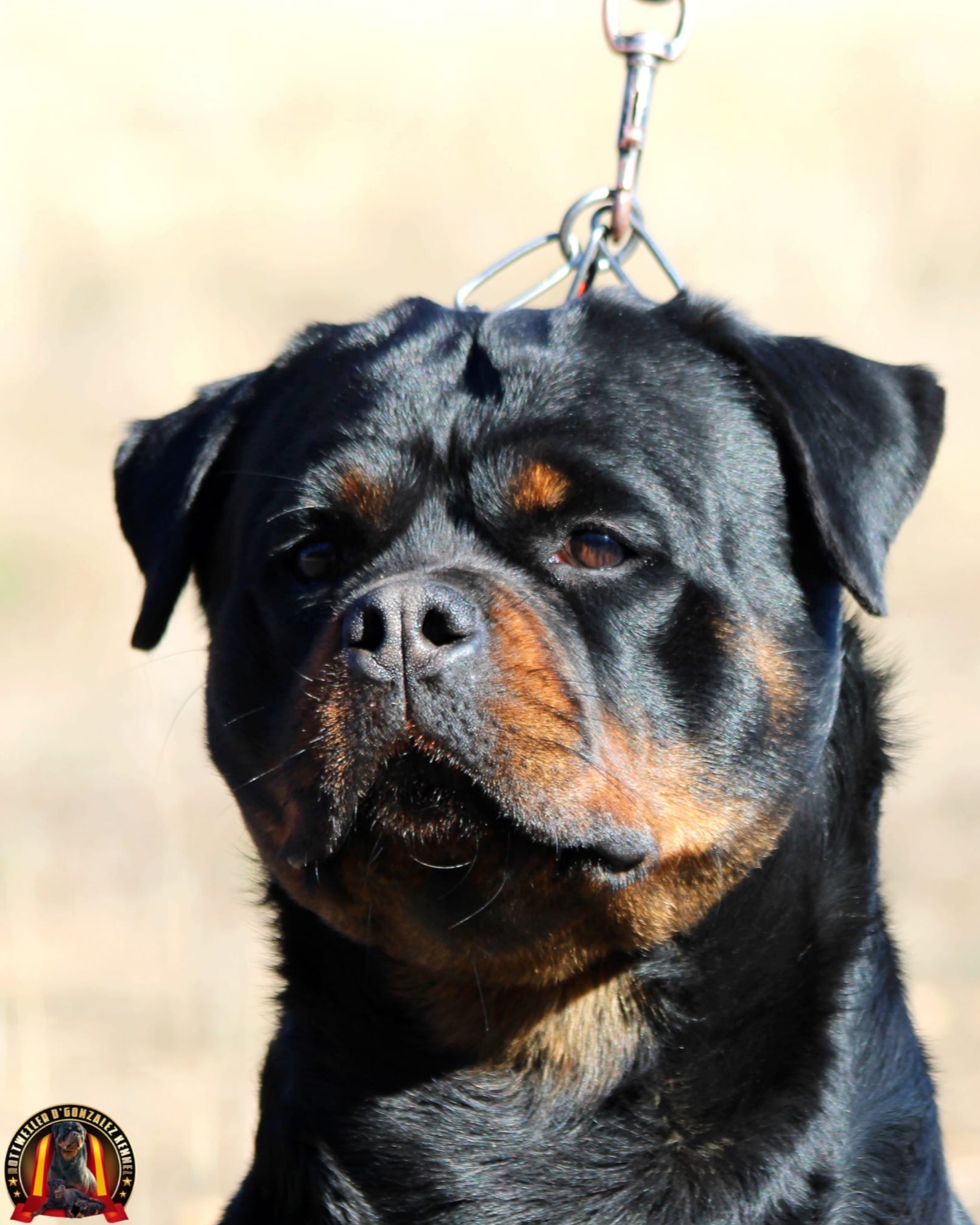 a09ae0c4-7ca5-4b4e-858a-f78f7ded79f1