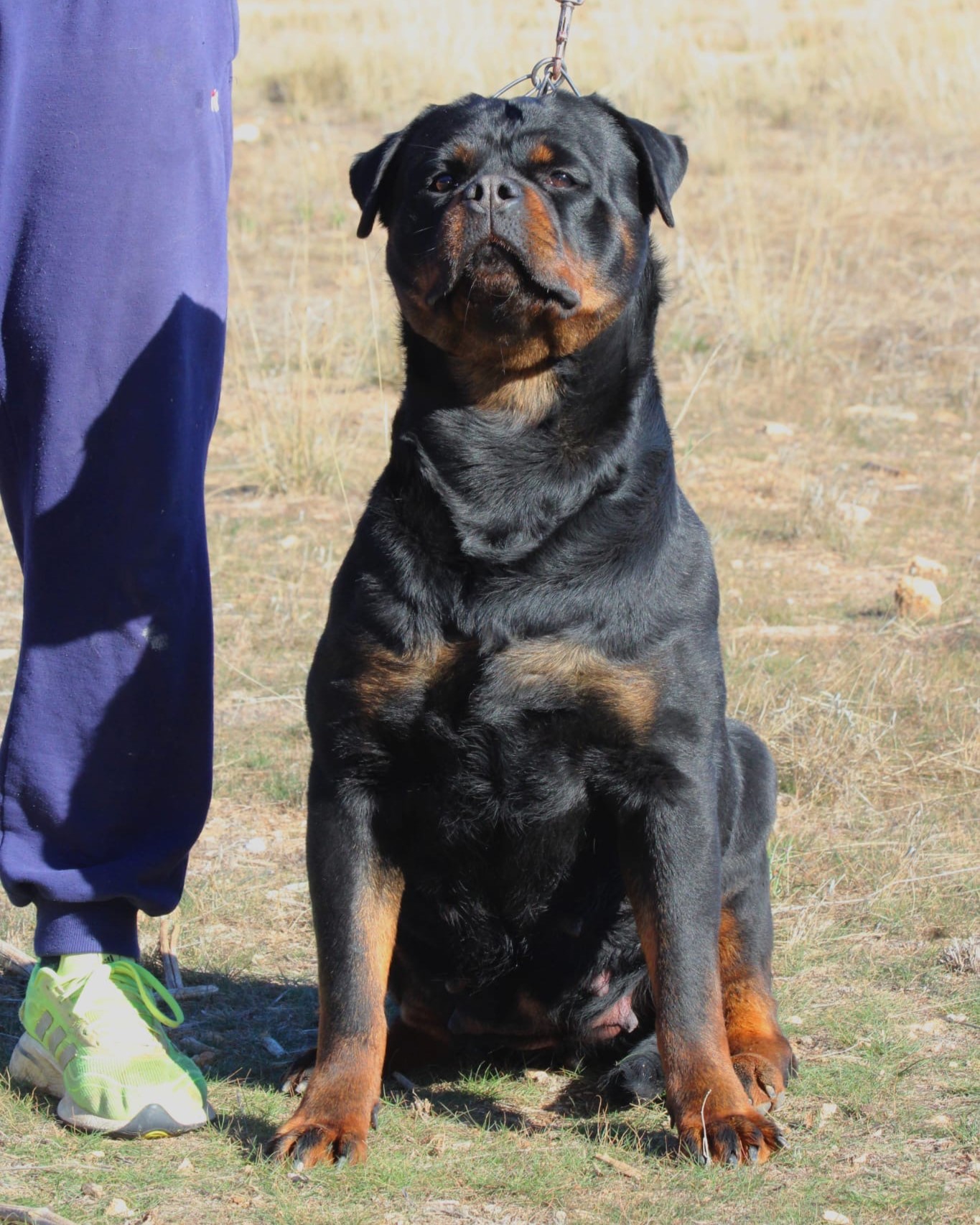 b29423e8-91cf-4dd2-9493-864a70d5fe98