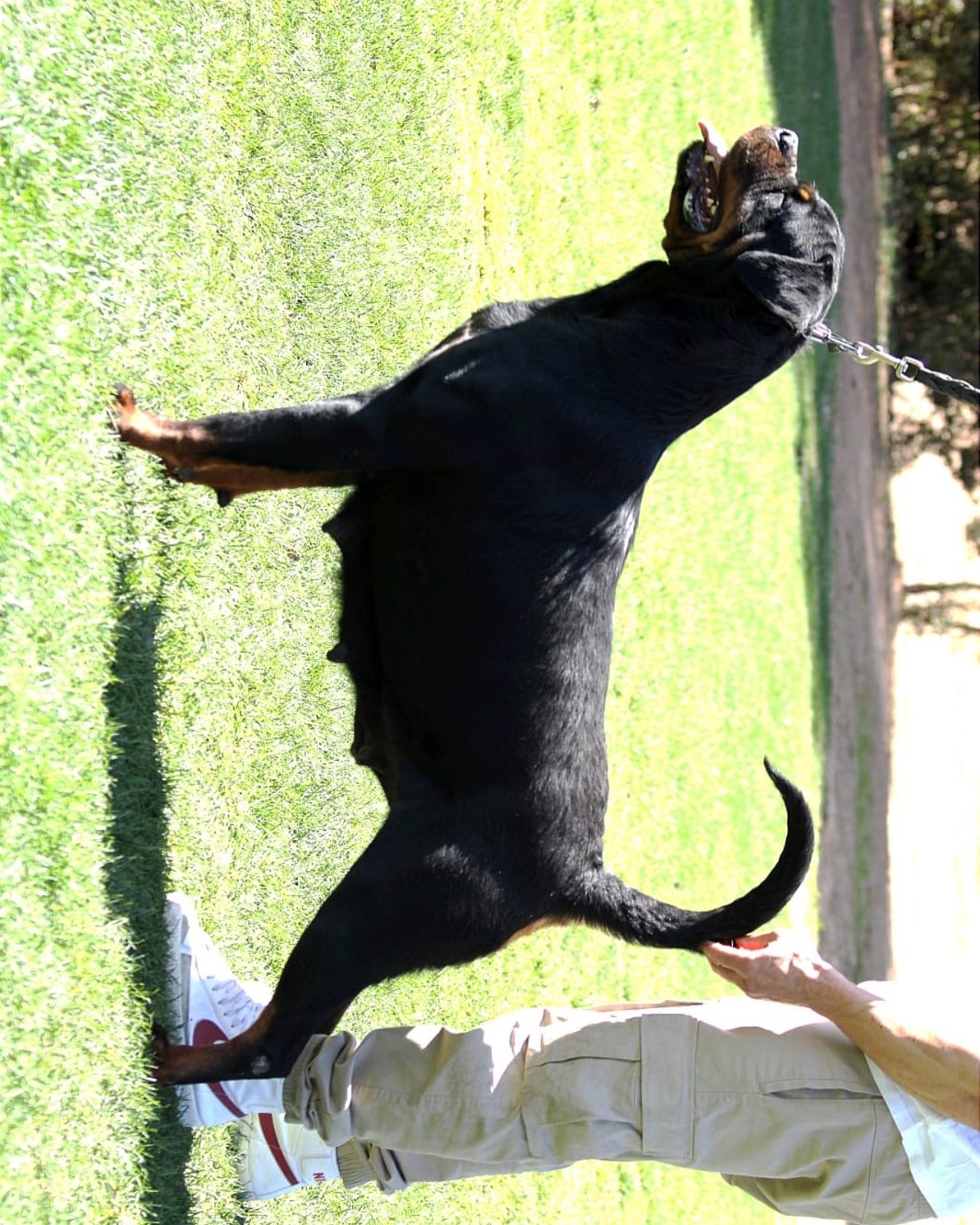 b673f1e1-a004-4a53-9eac-cb51c6043c40