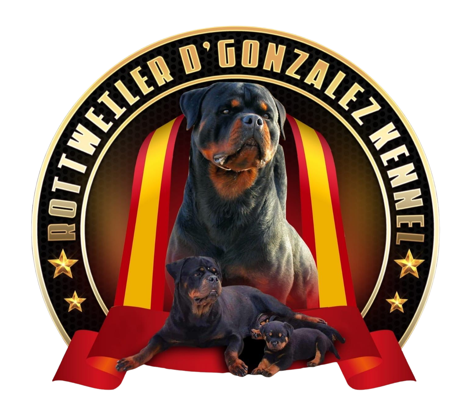 Rottweiler D´Gonzalez