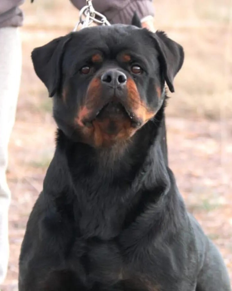 eb164a9a-b31b-4d5b-9d91-9addca5fa6fc