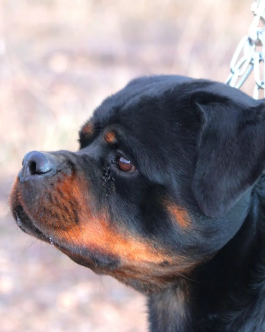 ef2ffd44-2084-4d0e-aadc-138e29f6e00a