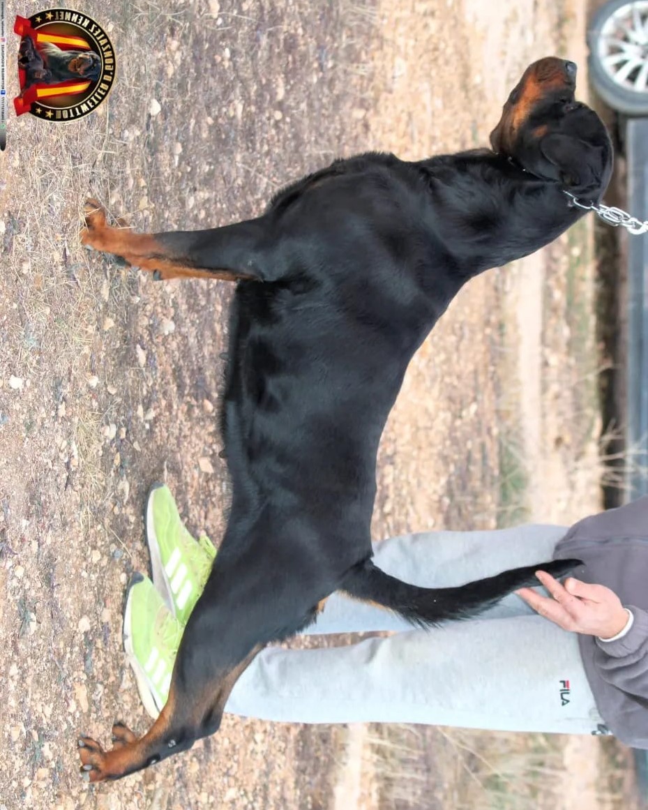 f4152970-d588-48a0-b17d-ad3651eb454e