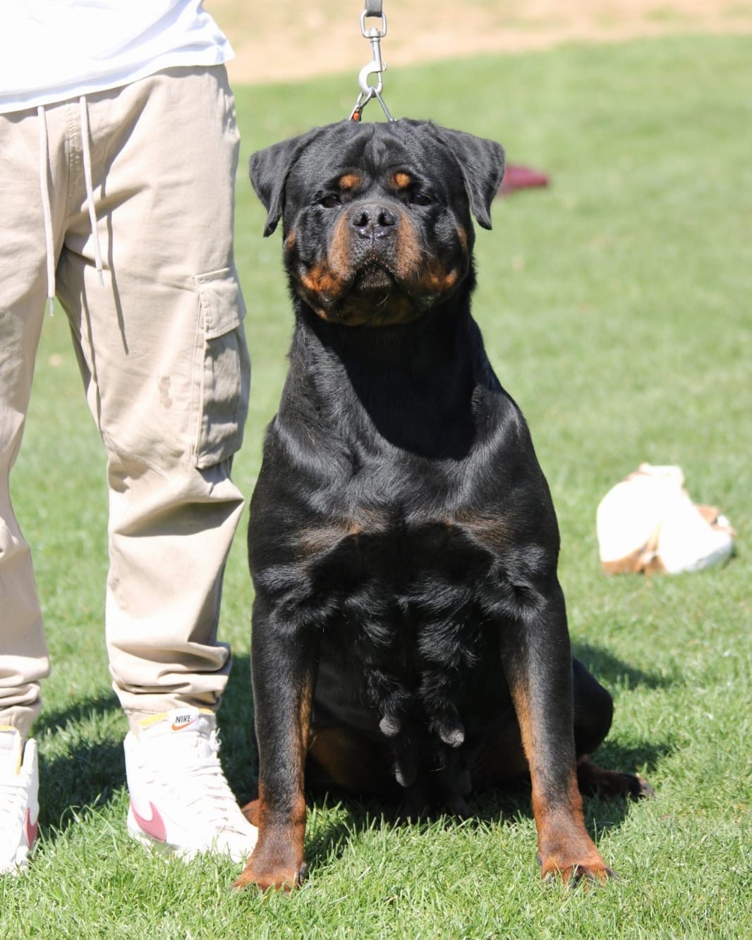 f5034ba8-c2bb-464e-a4c1-6e9caa8876aa